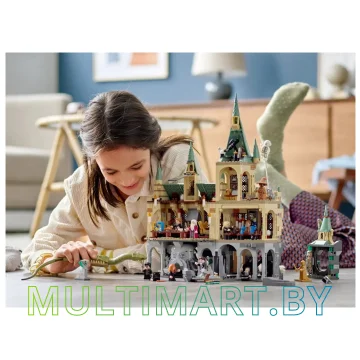 Конструктор LEGO Harry Potter 76389 Хогвартс: Тайная комната картинка 14